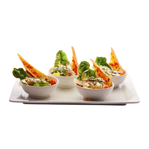 Mixed non-veggie starters